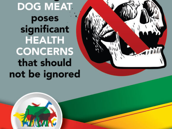 Dog Meat is Not Good for Humans